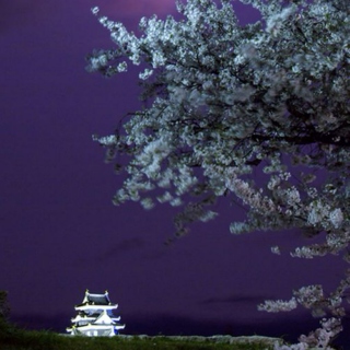 Night At the Japanese Castle