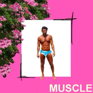 Muscle Playlist 2015 Spring
