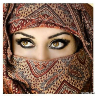 Arabic beauties 