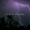 Forest Storms