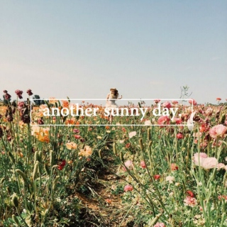 another sunny day | spring mix