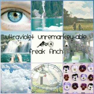 ultraviolet unremarkey-able+freak finch