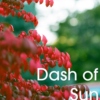 Dash of Sun