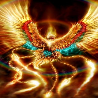 Rise like a Phoenix