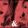 the devil && her bird
