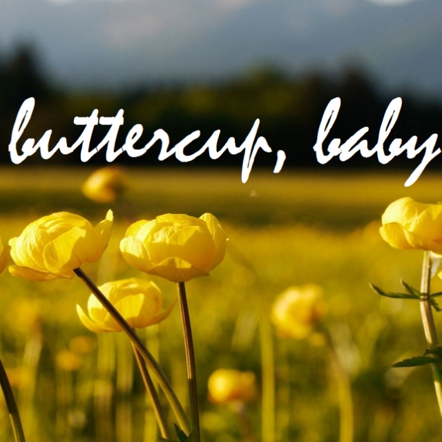 buttercup, baby