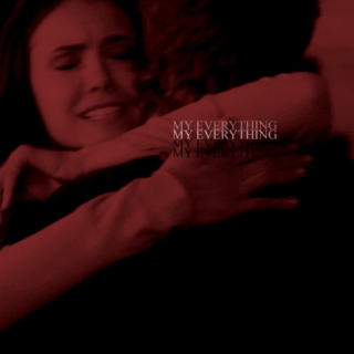 MY EVERYTHING , a stelena fanmix