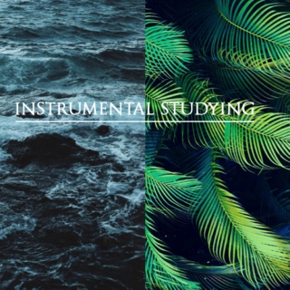Instrumental Studying