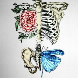 your bones are an art