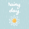rainy day chamomile