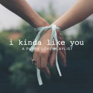 I Kinda Like You