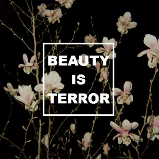 beauty is terror