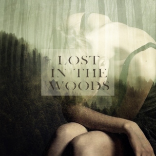 Fairy Tale Scene - Lost in the Woods