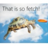 Indie can make fetch happen!