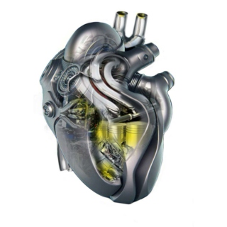 Mechanical Hearts and Silicon Skin