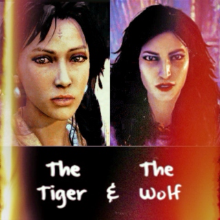 The Tiger & The Wolf