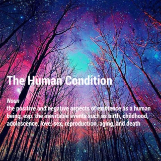 The Human Condition 