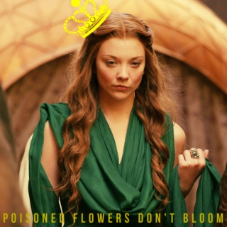 Poisoned Roses Don't Bloom