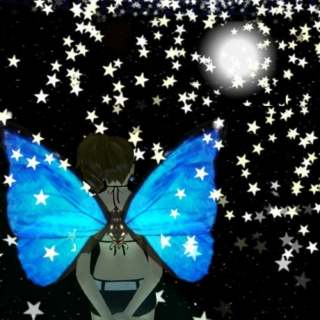 蝶と星