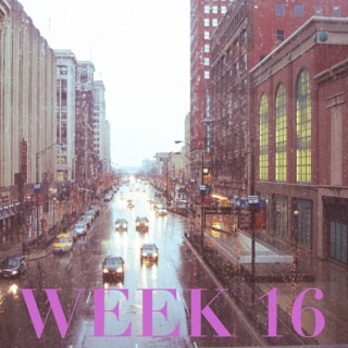 week sixteen