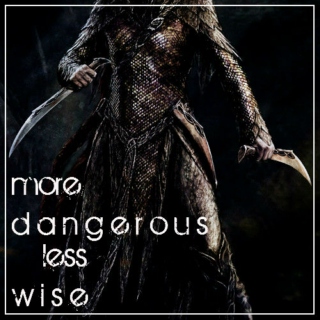 More dangerous, less wise