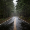 rainy roadtrips