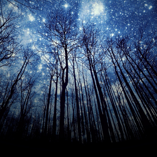 a path of starlight
