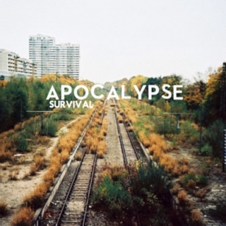 apocalypse: survival