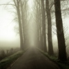 10 canciones para caminar entre la neblina. Vol. II.