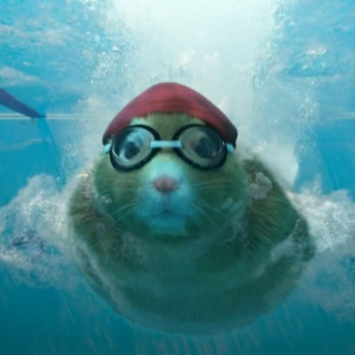 Yes it's a swimming hamster