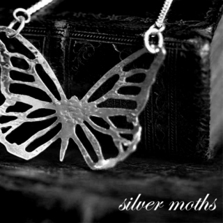silver moths