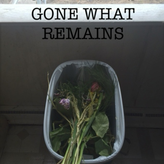 C. When It's Gone What Remains