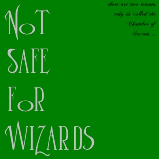 Not Safe for Wizards