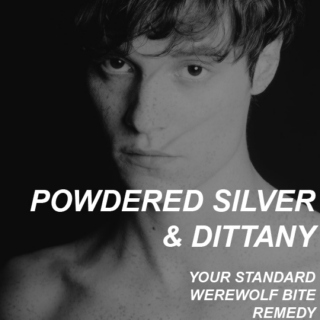 powdered silver & dittany