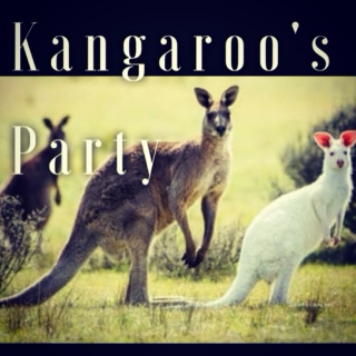 Kangaroo's Party
