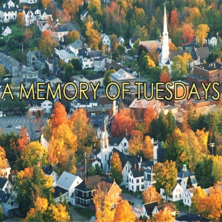 A Memory of Tuesdays
