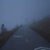 Into the Fog 