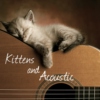Kittens & Acoustic 