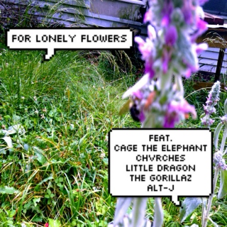 For Lonely Flowers