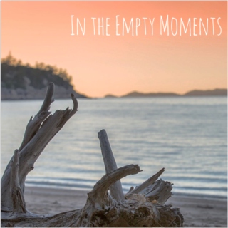 In the Empty Moments