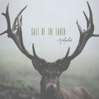 Salt Of The Earth 