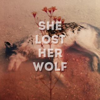 she lost her wolf