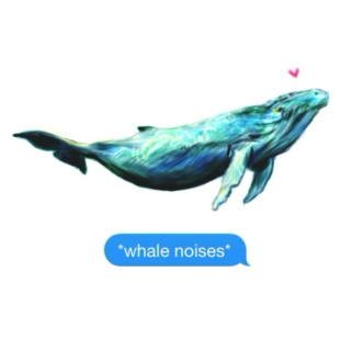 *whale noises*