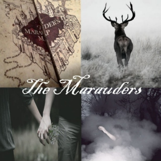 the marauders 