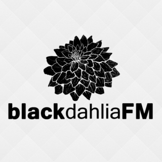 Black Dahlia FM