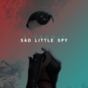 sad little spy