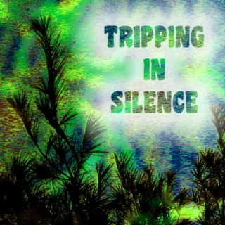 Tripping In Silence