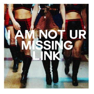 i am not ur missing link