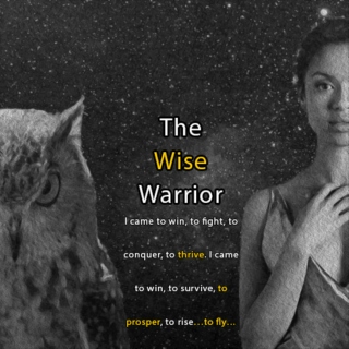 The Wise Warrior