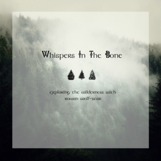 Whispers In The Bone